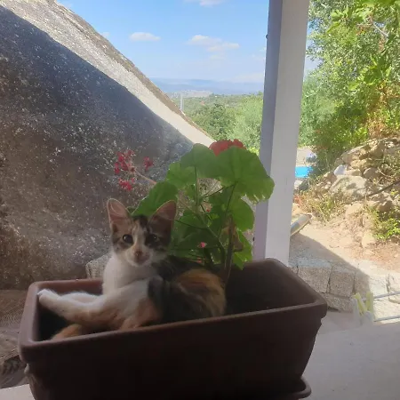 Tiscali 4* Dorgali