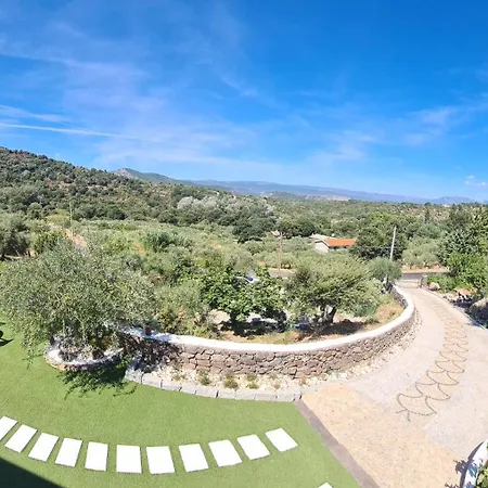 בית הארחה Tiscali דורגלי