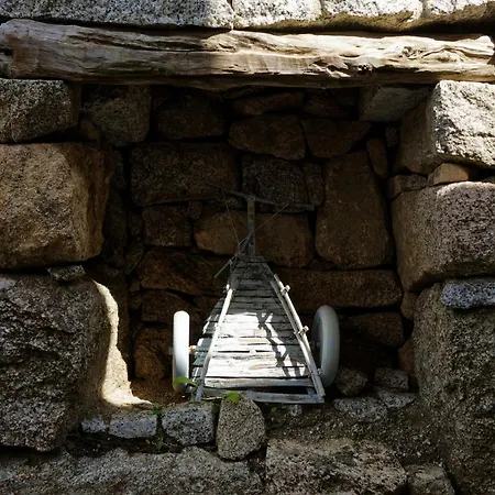 בית הארחה Tiscali 3*