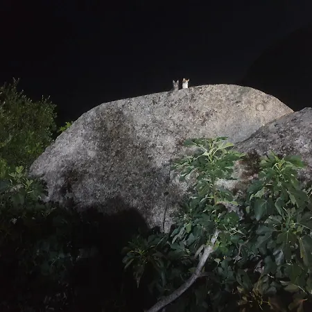 Πανσιόν Tiscali 3*